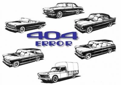 Conseils pour bien entretenir sa 404