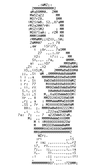 ASCII, langage et mode d'expression