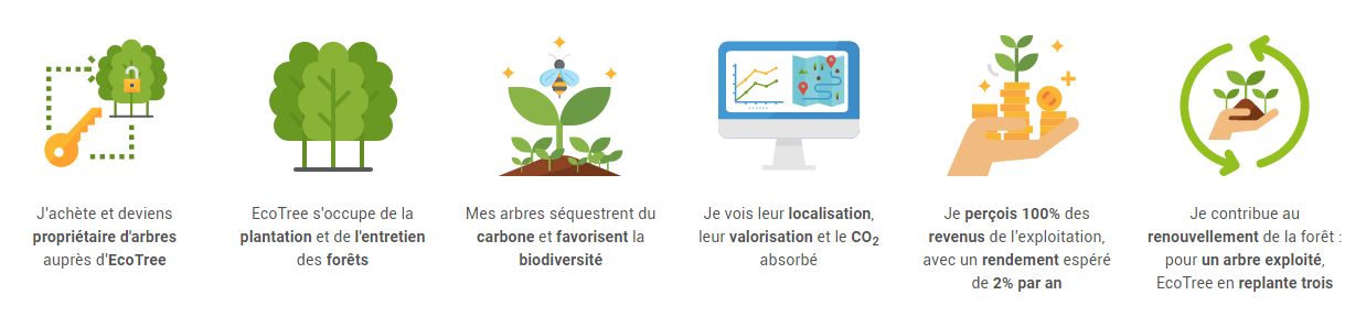 EcoTree, start-up du Finistère