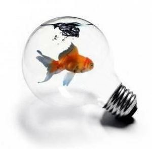 10 idées pour alimenter son blog