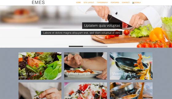 Joomla TD Emes Joomla Template