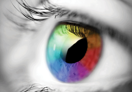 Pour un web haut en couleur !
