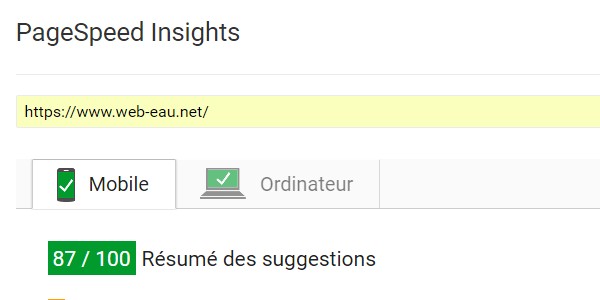 Résultats Google PageSpeed Insights