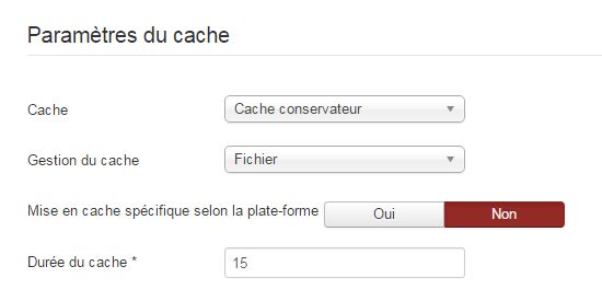 Les paramètres du cache de Joomla