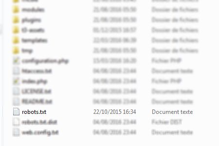 Le fichier robots.txt