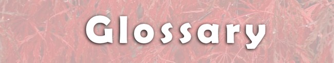 Afficher un module sur une seule page