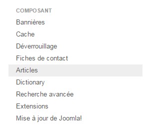 Organiser son contenu avec les catégories
