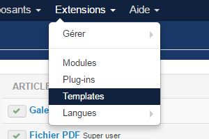 Ajouter un zoom à vos images dans Joomla