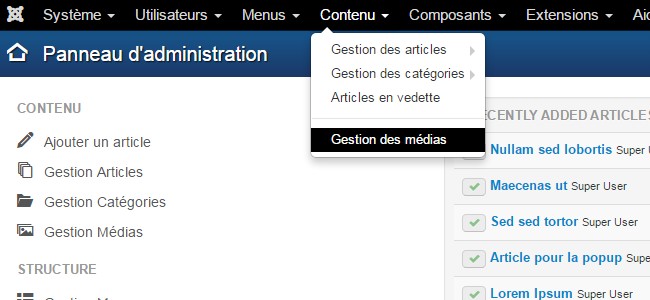 Notepad++ Joomla