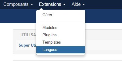 Mise en place d'un site multilingue
