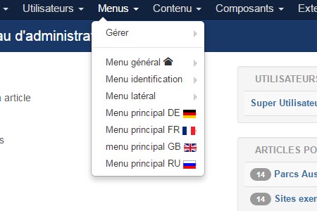 Mise en place d'un site multilingue