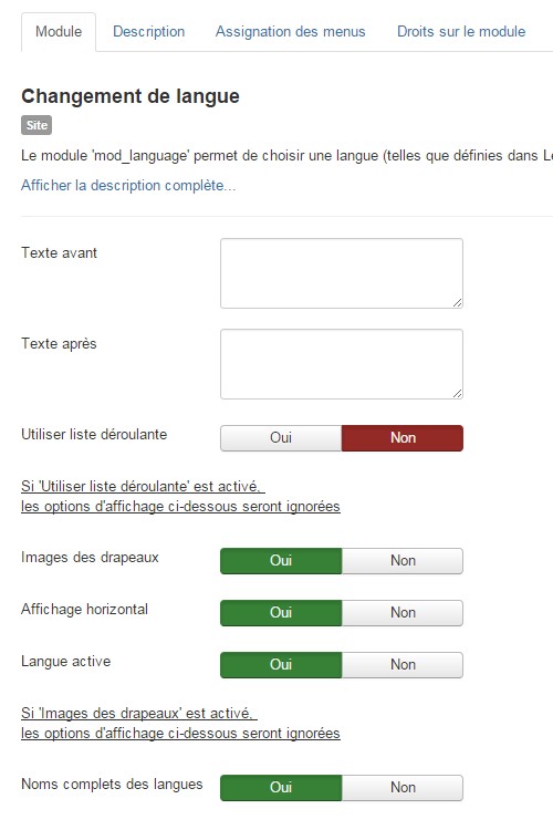 Mise en place d'un site multilingue