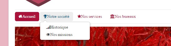 Ajouter des icônes à vos liens de menus