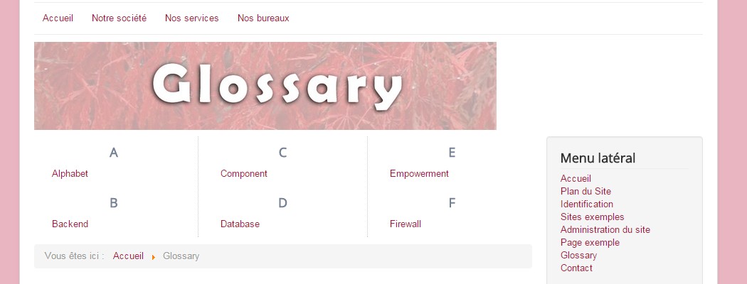 Afficher un module sur une seule page