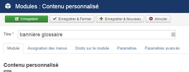 Afficher un module sur une seule page