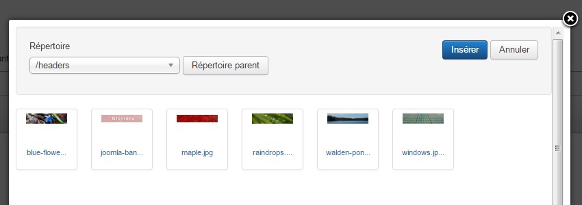 Afficher un module sur une seule page
