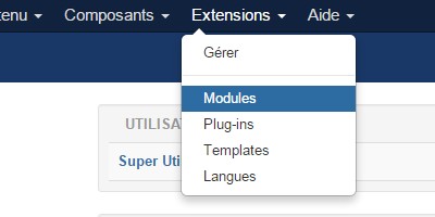 Afficher un module sur une seule page