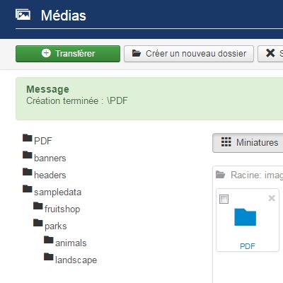 Ajouter un fichier PDF dans un articlee