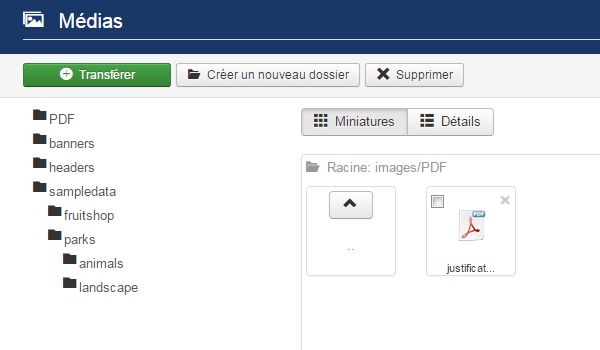 Ajouter un fichier PDF dans un article
