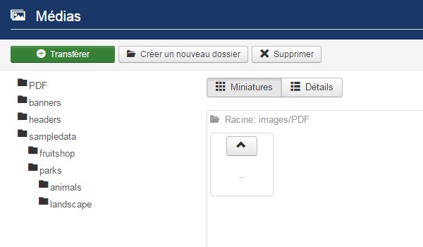 Ajouter un fichier PDF dans un article