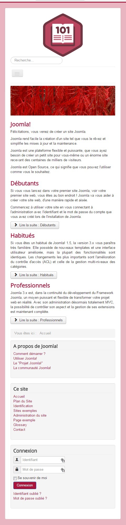 Paramétrer son template Joomla!