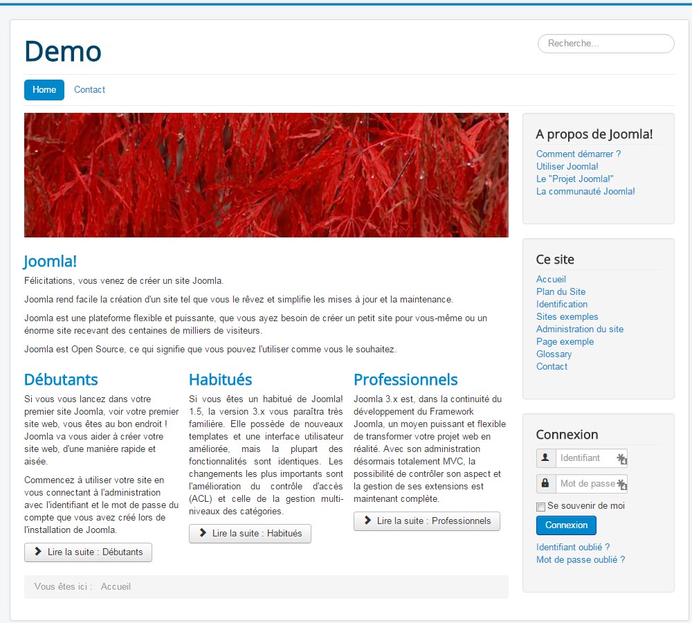 Paramétrer son template Joomla!