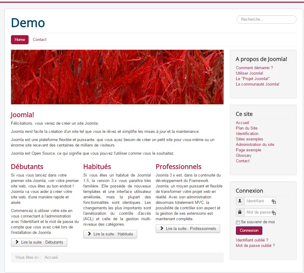 Paramétrer son template Joomla!