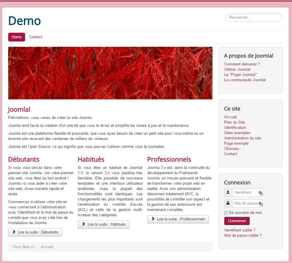 Paramétrer son template Joomla!