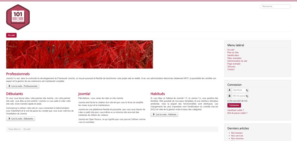 Paramétrer son template Joomla!