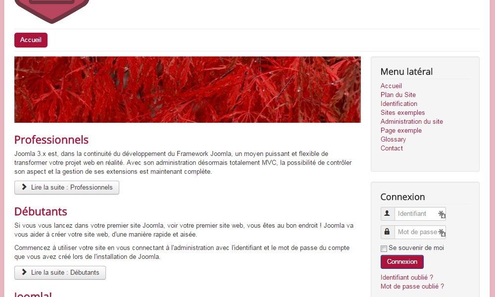 Modifications avancées son template Joomla!